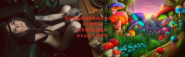кокс Абдулино