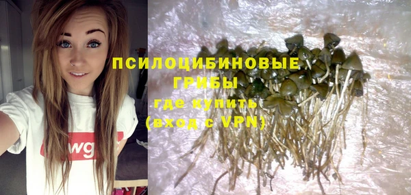 COCAINE Няндома
