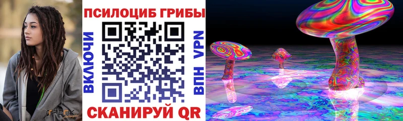 закладка  Сорочинск  OMG ТОР  Галлюциногенные грибы Cubensis 