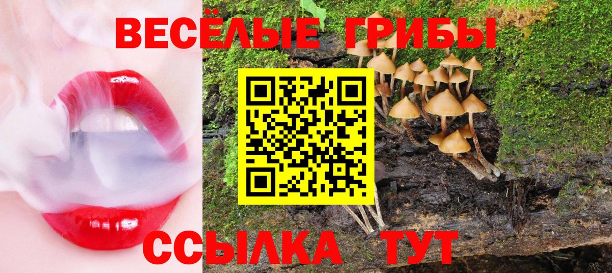 Псилоцибиновые грибы Magic Shrooms Сорочинск