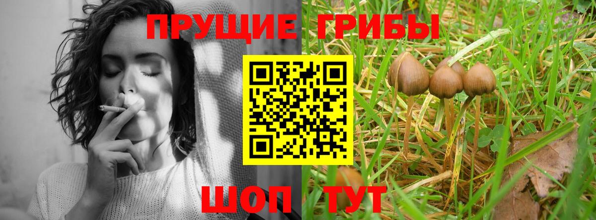 Сорочинск  Галлюциногенные грибы мицелий  Вход с VPN 